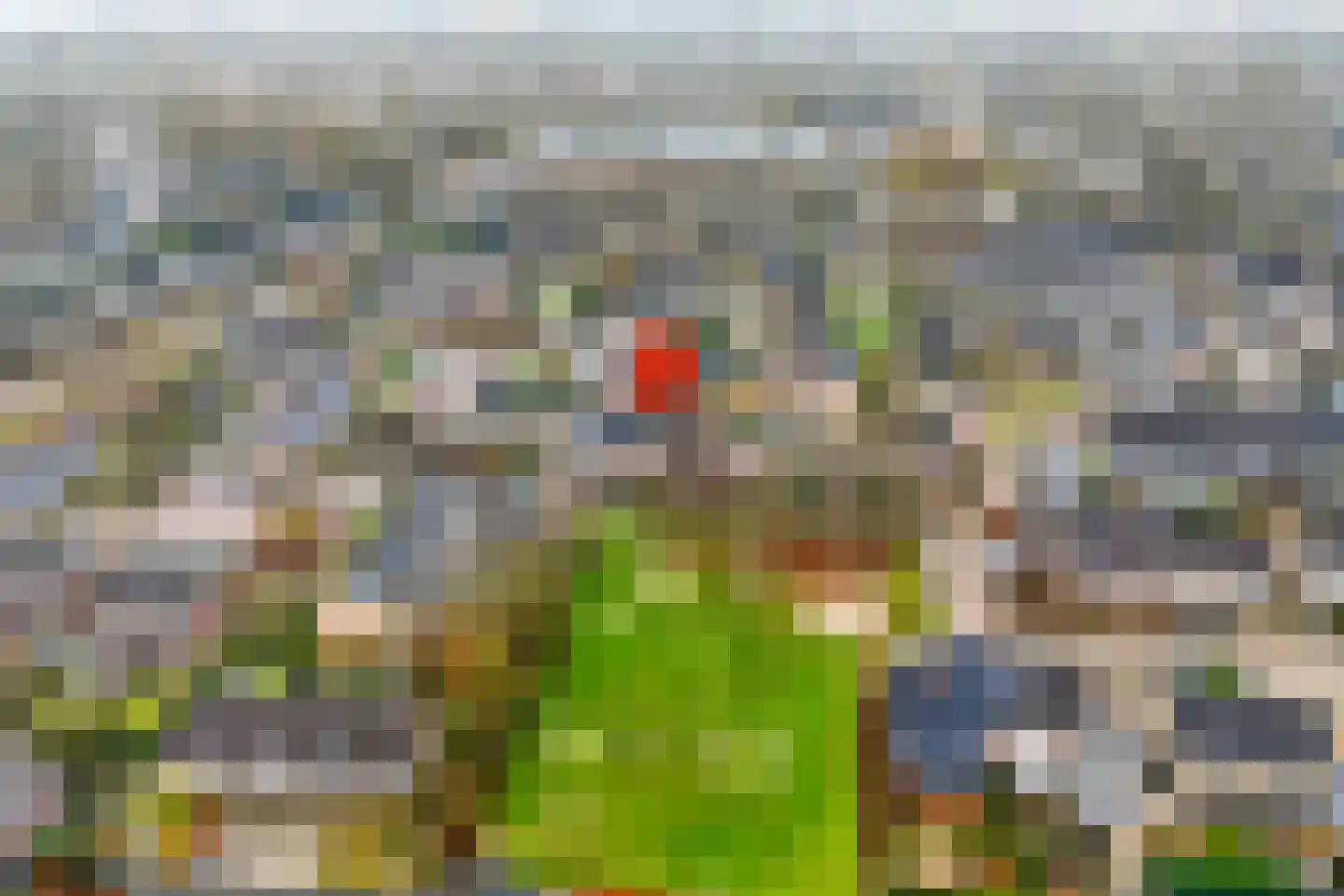 Heideanjer 47 Dalfsen thumbnail 59