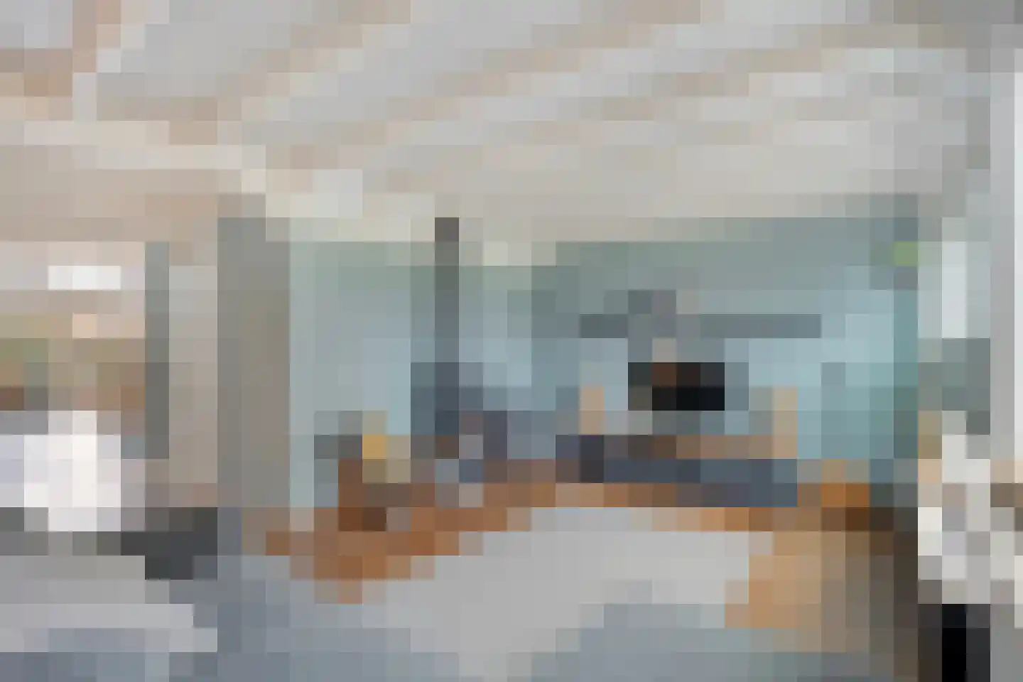 Heideanjer 47 Dalfsen thumbnail 6