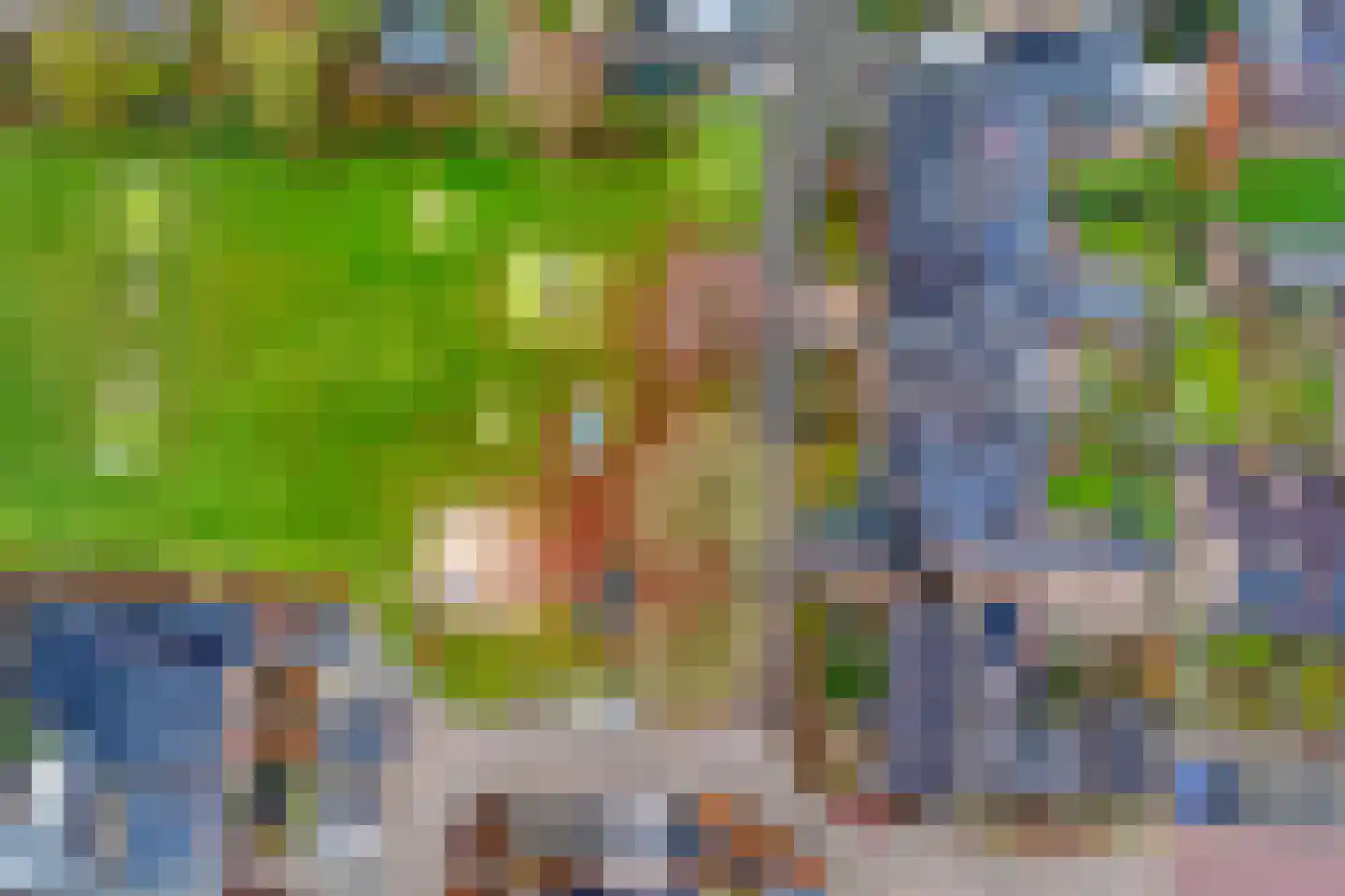 Heideanjer 47 Dalfsen thumbnail 60