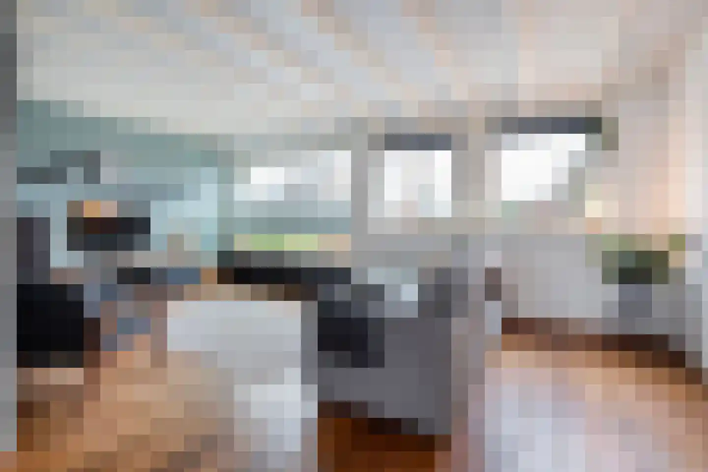 Heideanjer 47 Dalfsen thumbnail 7