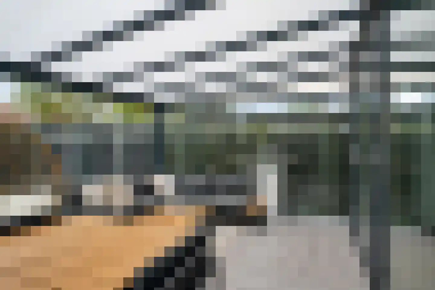 Heideanjer 6 a Drachten thumbnail 36