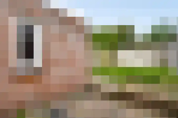 Heidebaan 10 Roermond thumbnail 17
