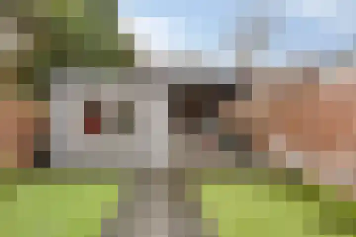 Heidebaan 36 Roermond thumbnail 32