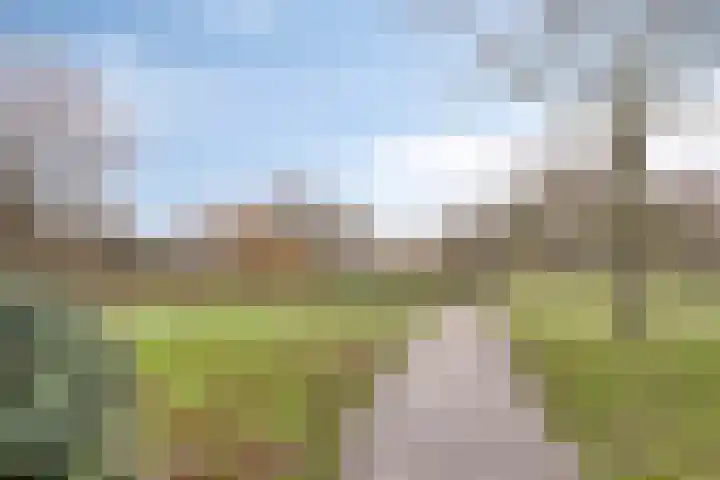 Heidebaan 36 Roermond thumbnail 36