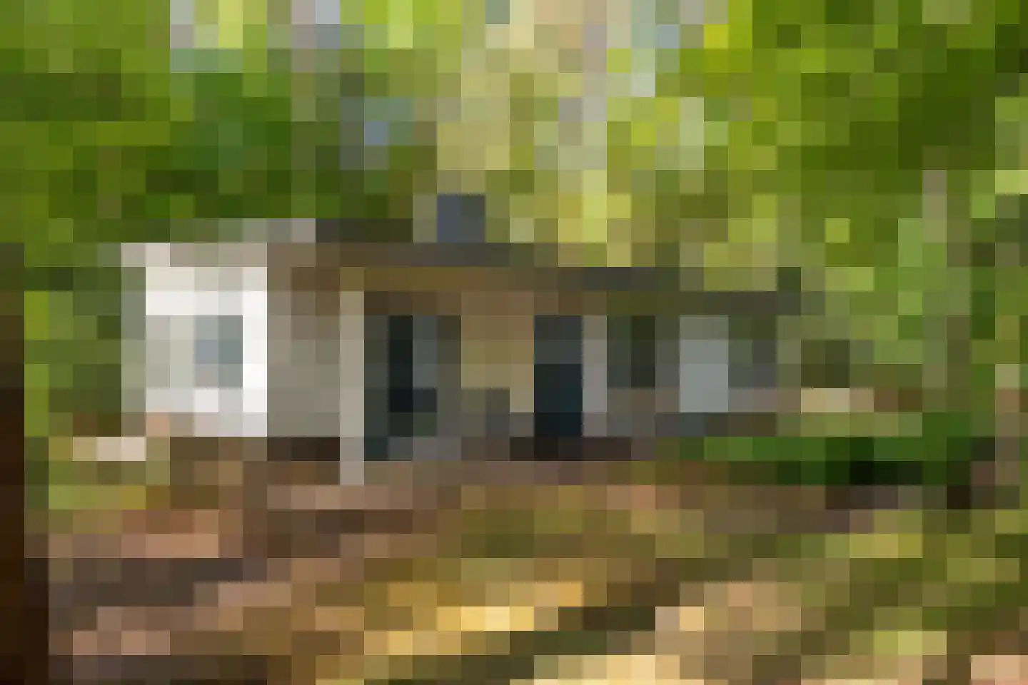 Heidebadweg 23 Epe thumbnail 26
