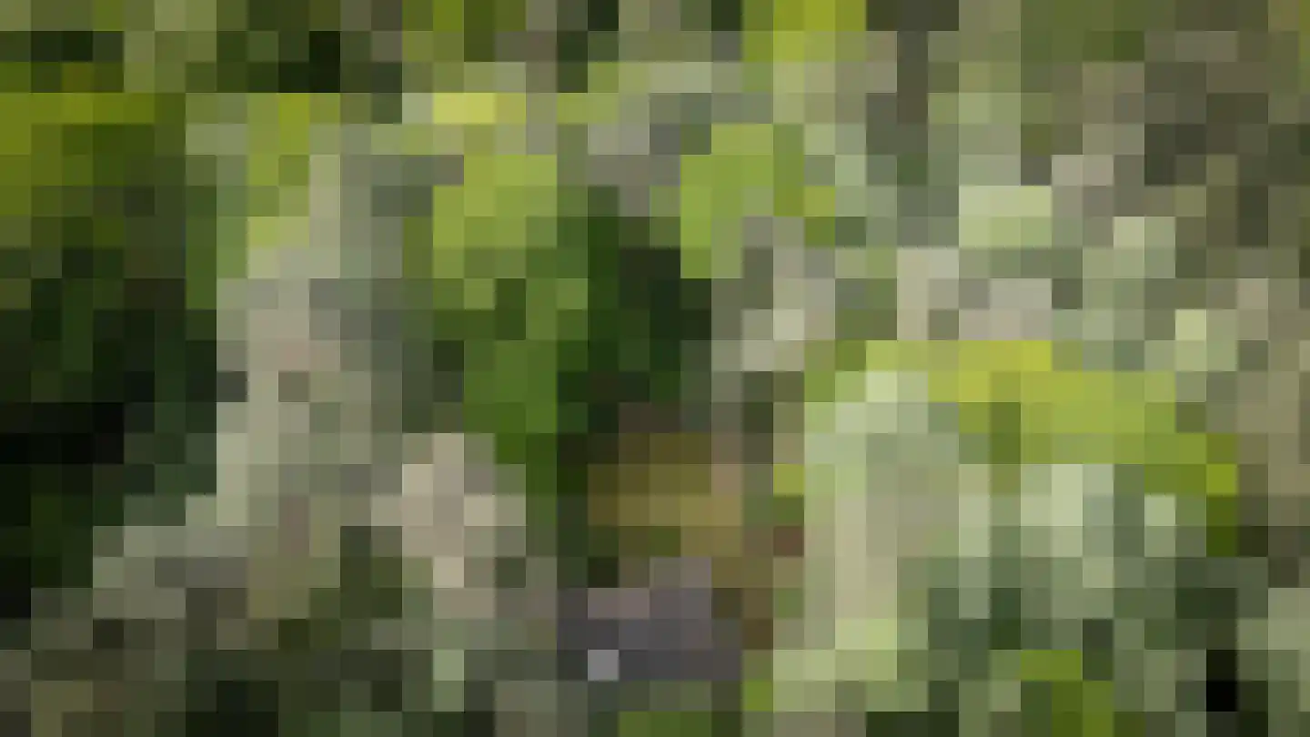 Heidebadweg 23 Epe thumbnail 29