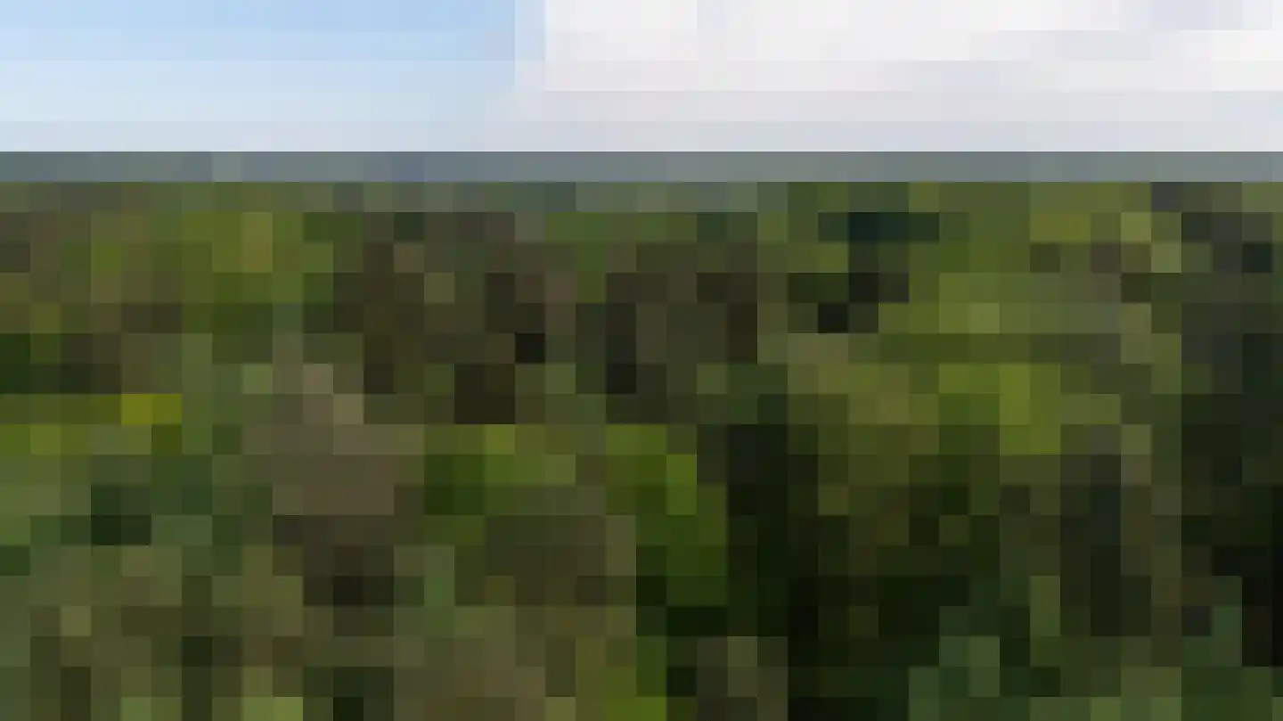 Heidebadweg 23 Epe thumbnail 30