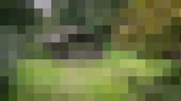 Heidebadweg 24 Epe thumbnail 22