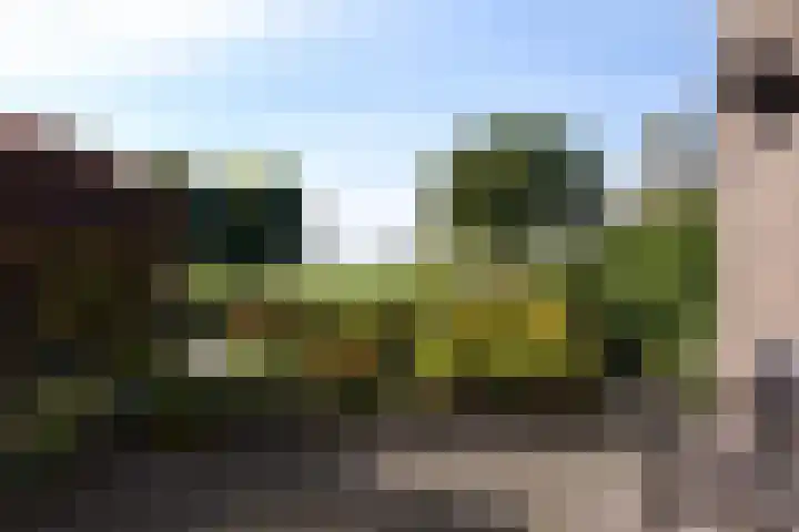 Heidebindersweg 26 Nieuw-Roden thumbnail 11
