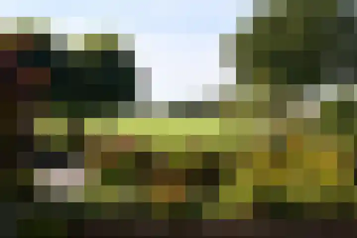 Heidebindersweg 26 Nieuw-Roden thumbnail 12