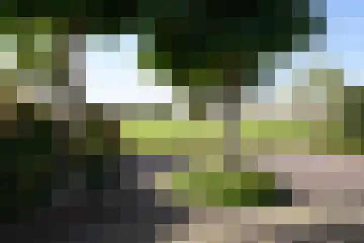 Heidebindersweg 26 Nieuw-Roden thumbnail 13