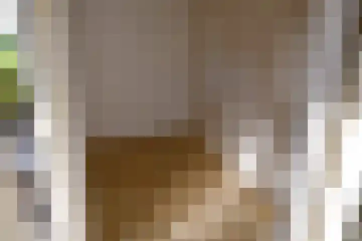 Heidebindersweg 26 Nieuw-Roden thumbnail 23