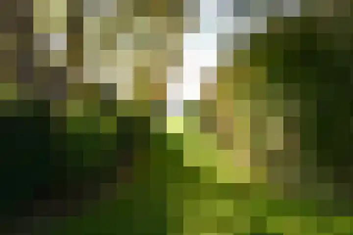 Heidebindersweg 26 Nieuw-Roden thumbnail 39