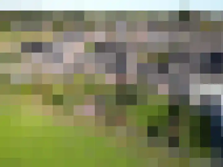 Heidebindersweg 26 Nieuw-Roden thumbnail 6