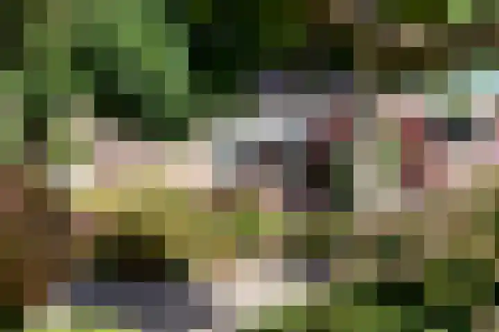 Heidebindersweg 26 Nieuw-Roden thumbnail 9