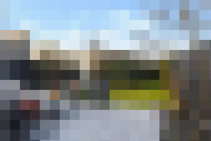 Heideblauwtje 12 Apeldoorn thumbnail 13