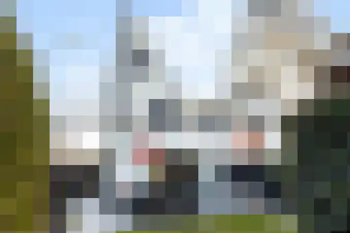 Heideblauwtje 12 Apeldoorn thumbnail 16