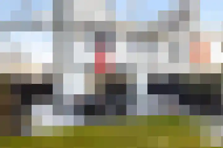 Heideblauwtje 12 Apeldoorn thumbnail 17