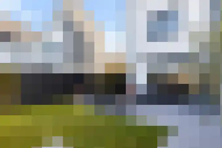 Heideblauwtje 12 Apeldoorn thumbnail 19