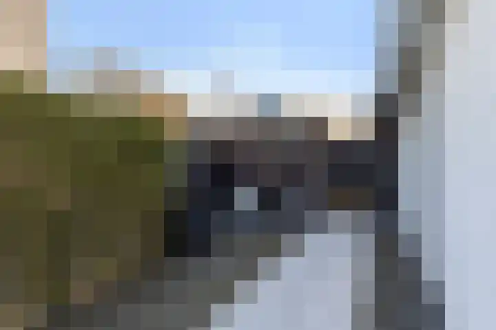 Heideblauwtje 12 Apeldoorn thumbnail 20