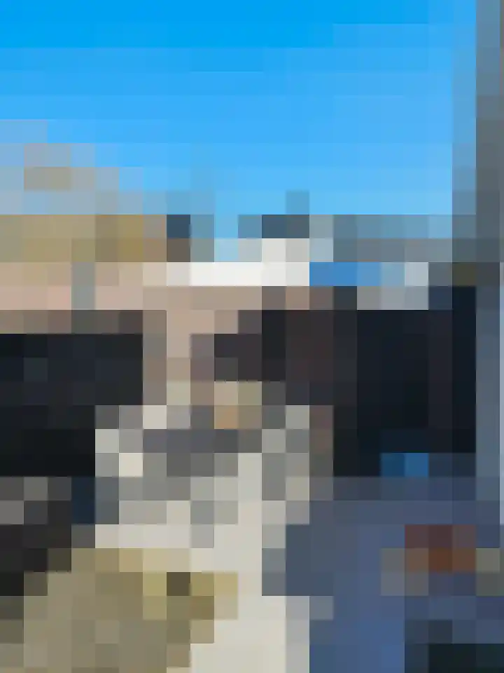 Heideblauwtje 12 Apeldoorn thumbnail 22