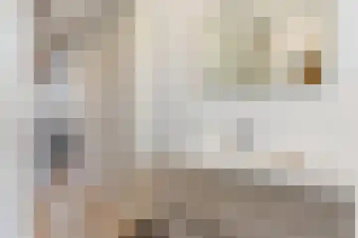 Heideblauwtje 12 Apeldoorn thumbnail 30