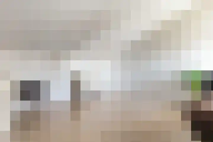 Heideblauwtje 12 Apeldoorn thumbnail 33
