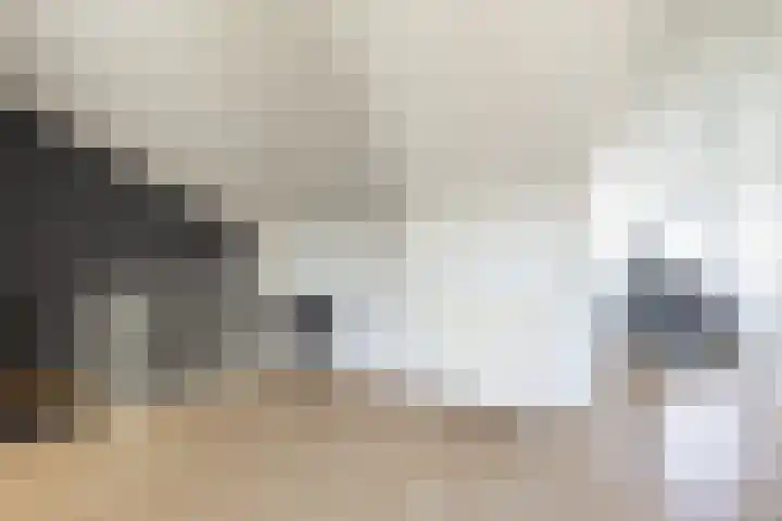 Heideblauwtje 12 Apeldoorn thumbnail 34