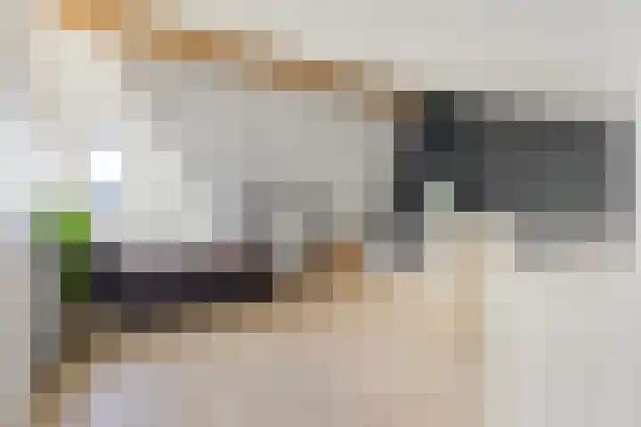 Heideblauwtje 12 Apeldoorn thumbnail 35