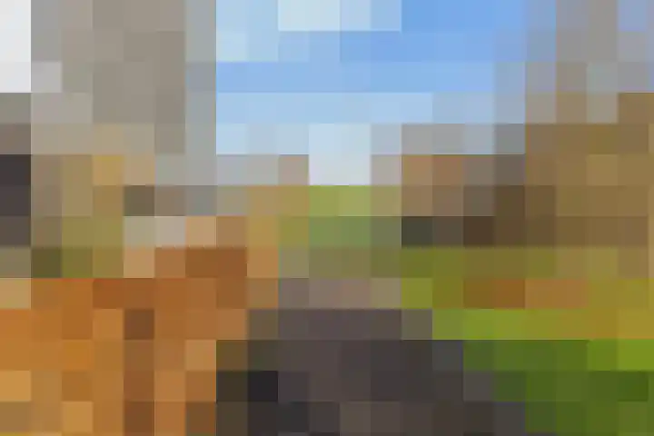 Heideblauwtje 12 Apeldoorn thumbnail 37