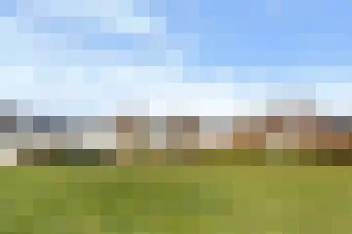 Heideblauwtje 12 Apeldoorn thumbnail 38