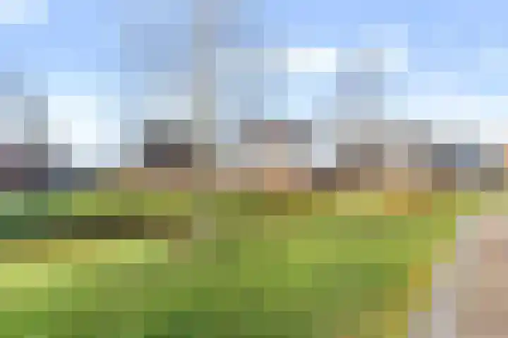 Heideblauwtje 12 Apeldoorn thumbnail 39