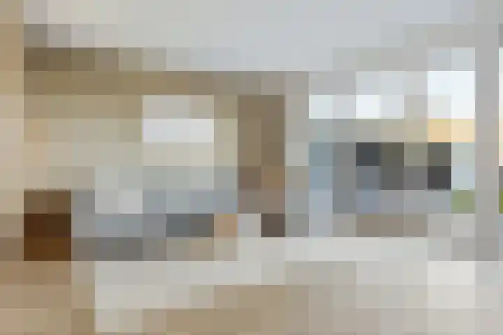 Heideblauwtje 12 Apeldoorn thumbnail 4