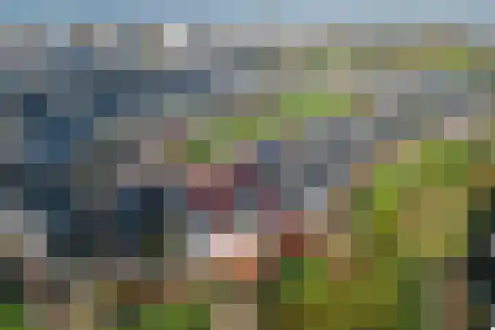 Heideblauwtje 12 Apeldoorn thumbnail 40