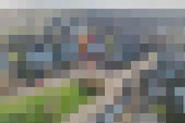 Heideblauwtje 12 Apeldoorn thumbnail 41