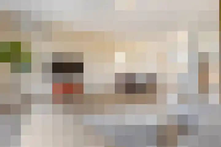 Heideblauwtje 12 Apeldoorn thumbnail 5