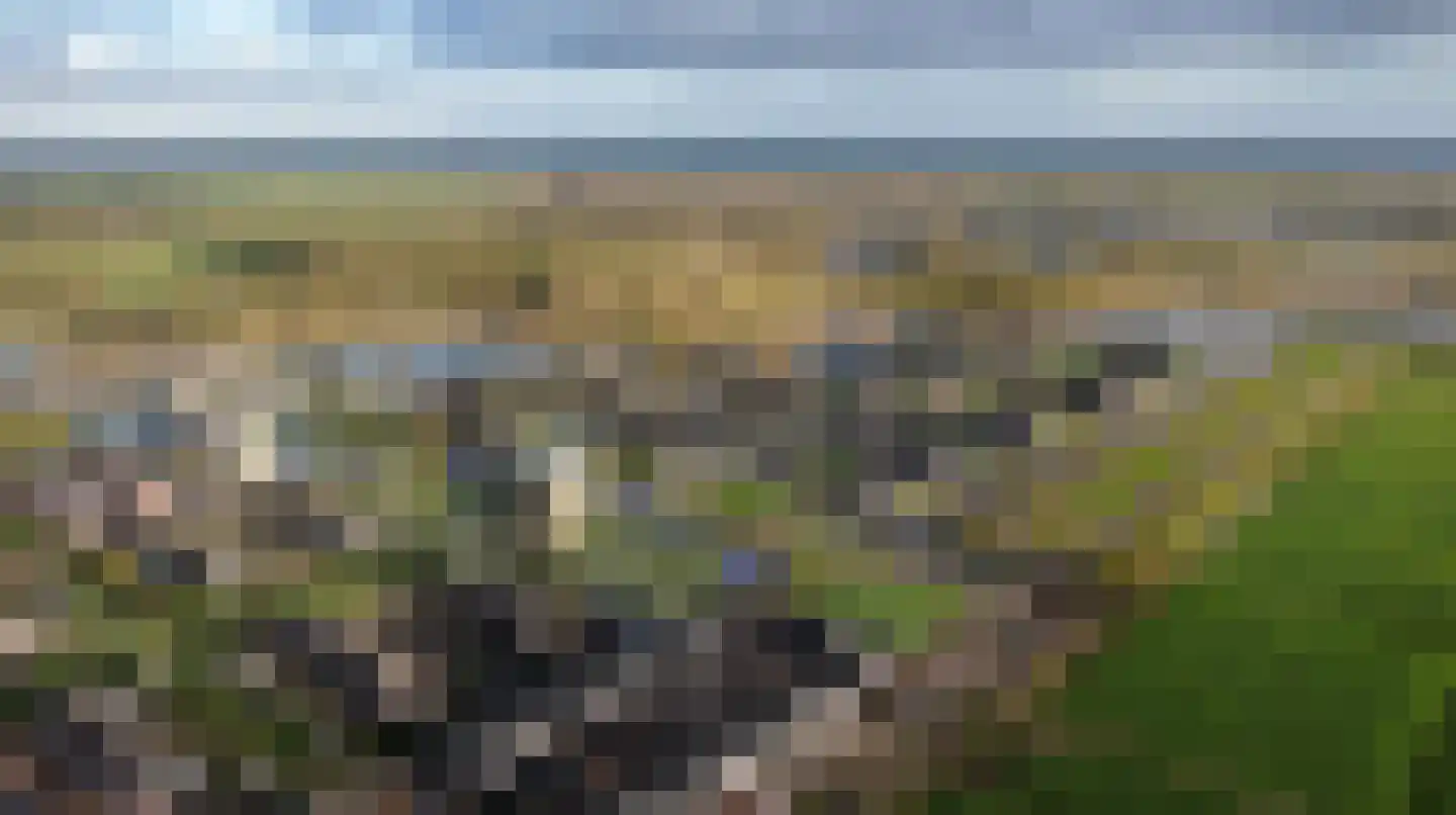 Heideblauwtje 12 Wolvega thumbnail 6