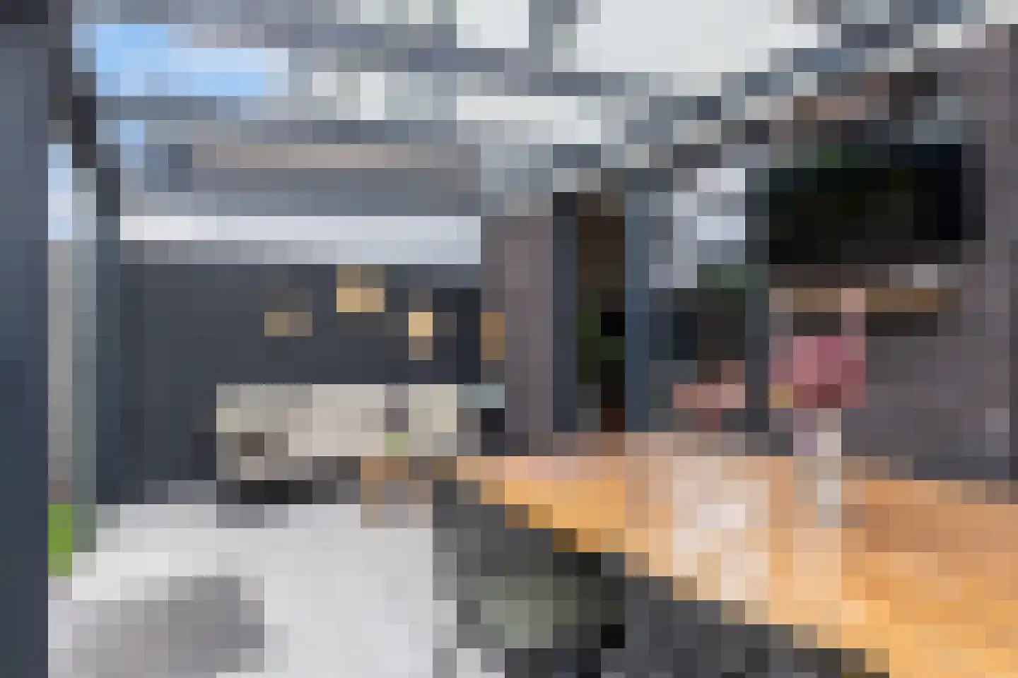 Heideblauwtje 122 Apeldoorn thumbnail 14