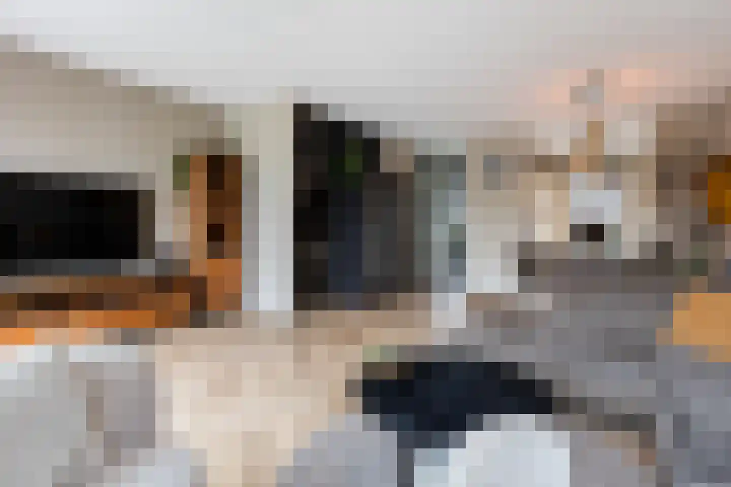 Heideblauwtje 122 Apeldoorn thumbnail 6
