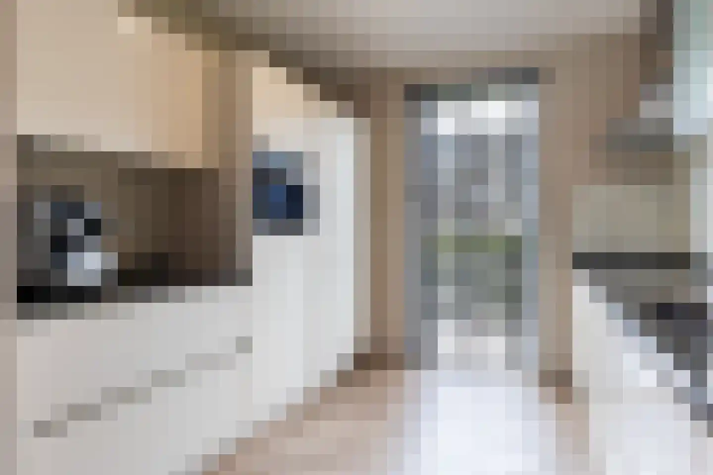 Heideblauwtje 122 Apeldoorn thumbnail 9