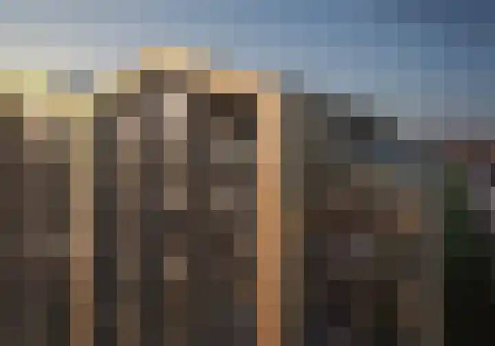 Heideblauwtje 18 Wolvega thumbnail 5