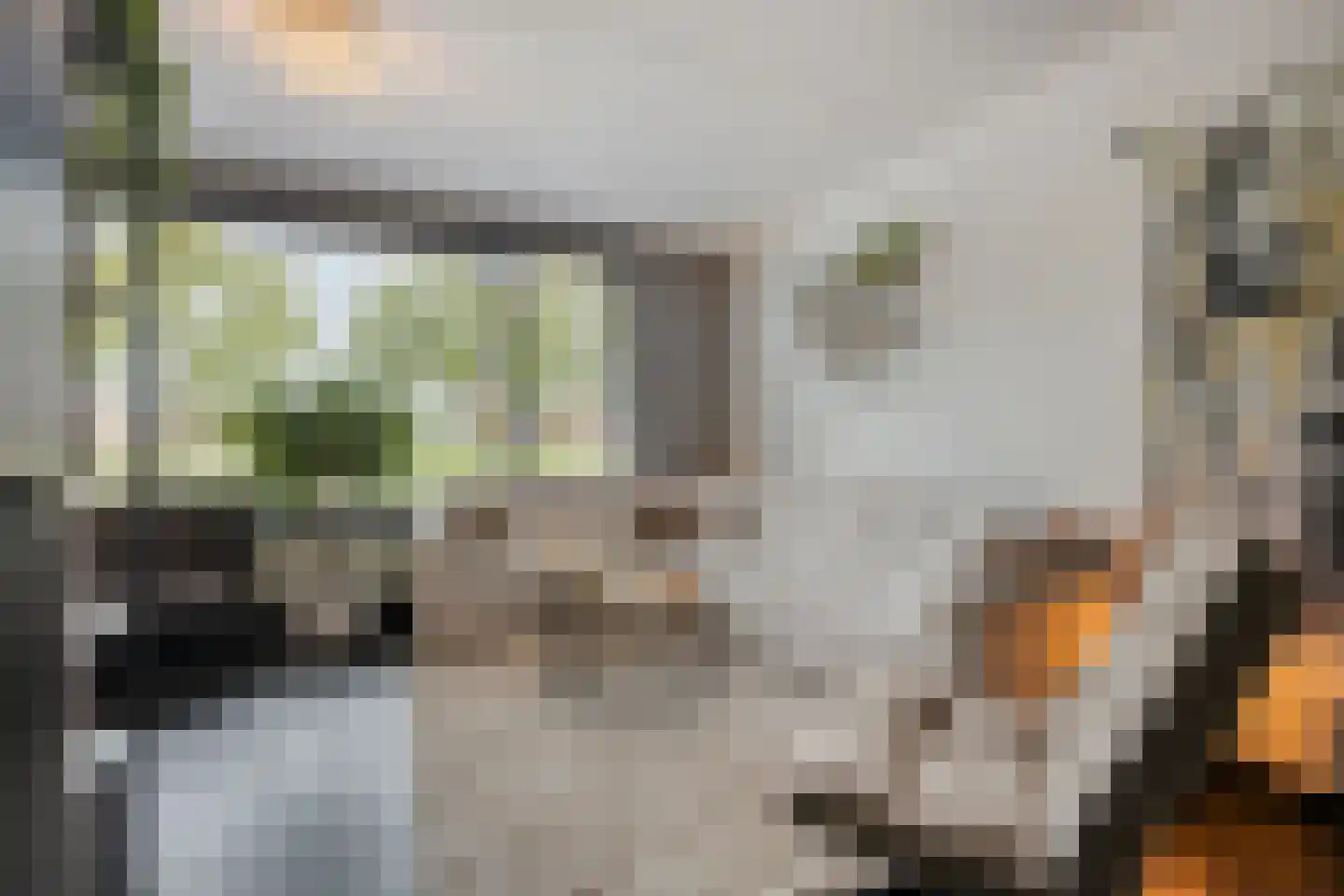 Heideblauwtje 2 Someren thumbnail 11