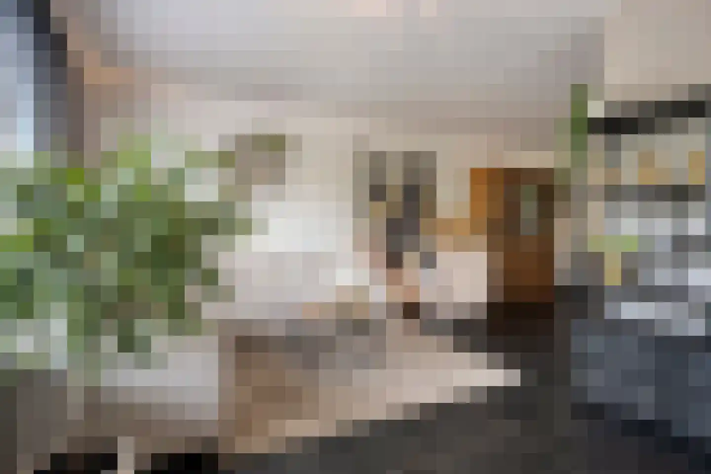 Heideblauwtje 2 Someren thumbnail 15