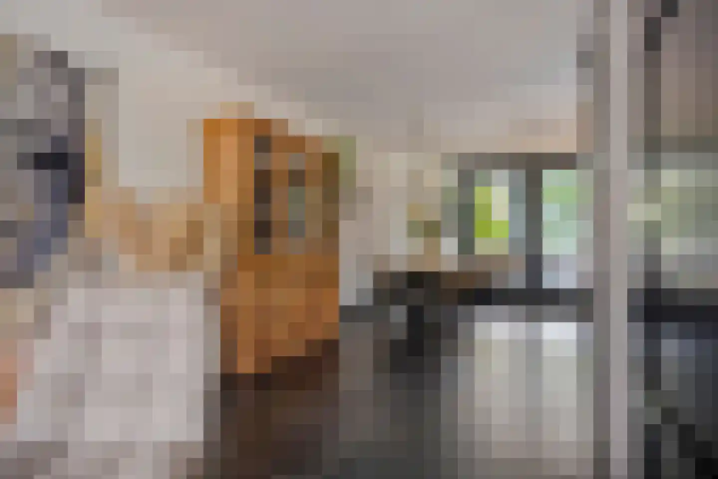 Heideblauwtje 2 Someren thumbnail 17