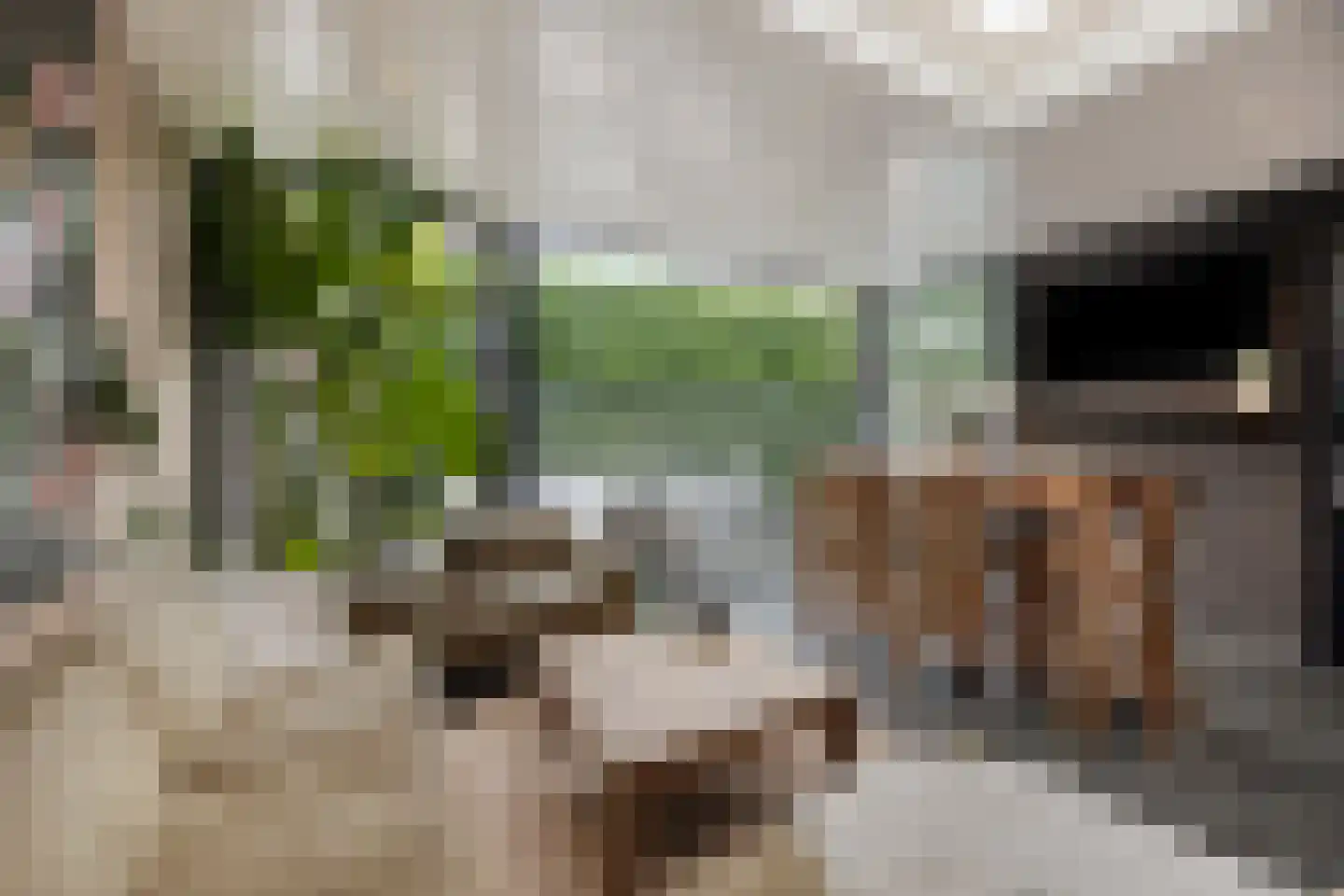 Heideblauwtje 2 Someren thumbnail 22