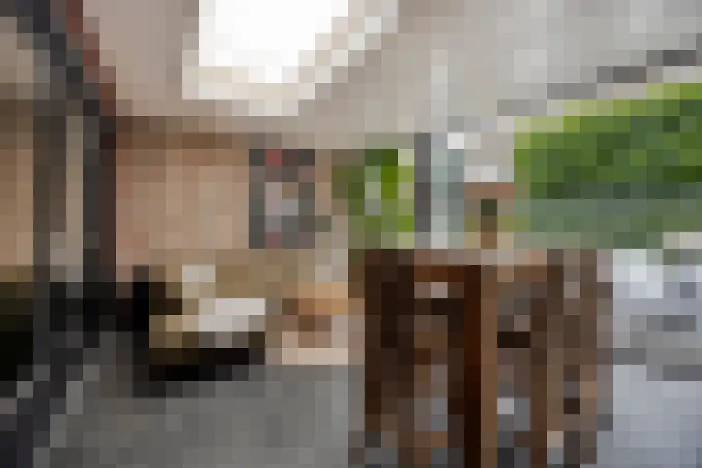 Heideblauwtje 2 Someren thumbnail 23