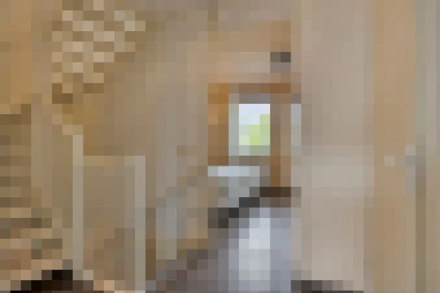 Heideblauwtje 2 Someren thumbnail 24