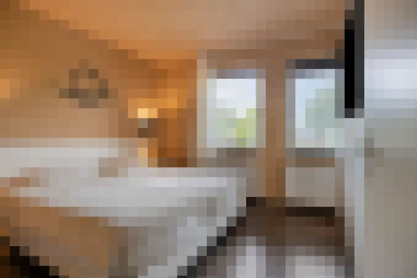 Heideblauwtje 2 Someren thumbnail 26