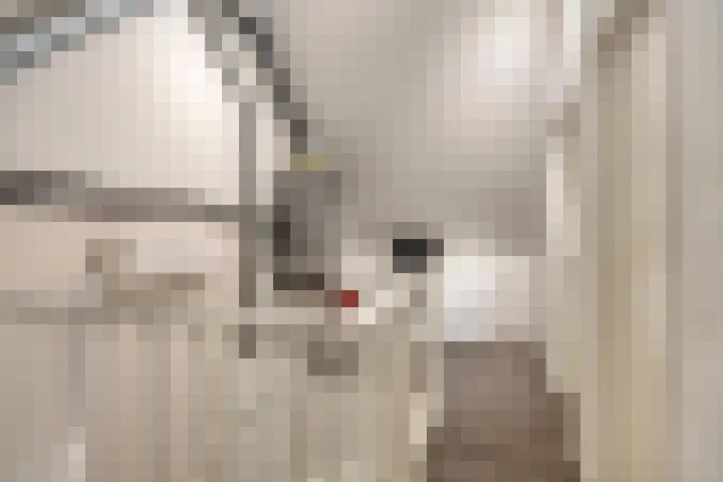 Heideblauwtje 2 Someren thumbnail 35