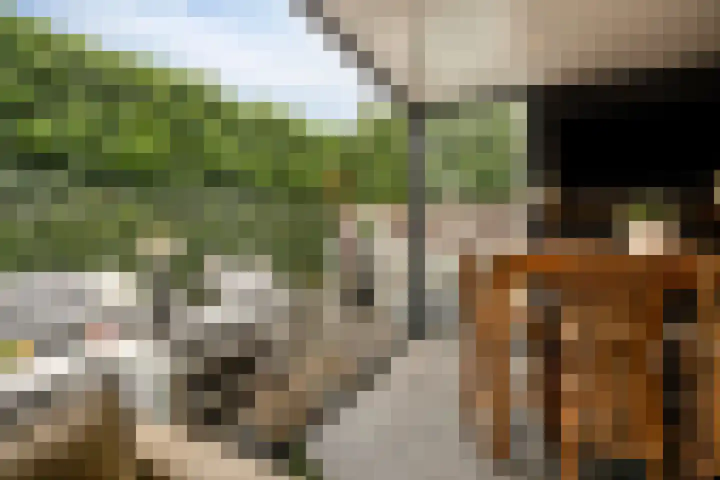 Heideblauwtje 2 Someren thumbnail 38